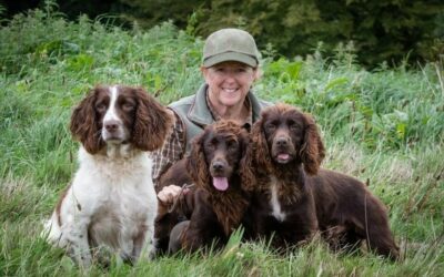 A photo of a working dog
